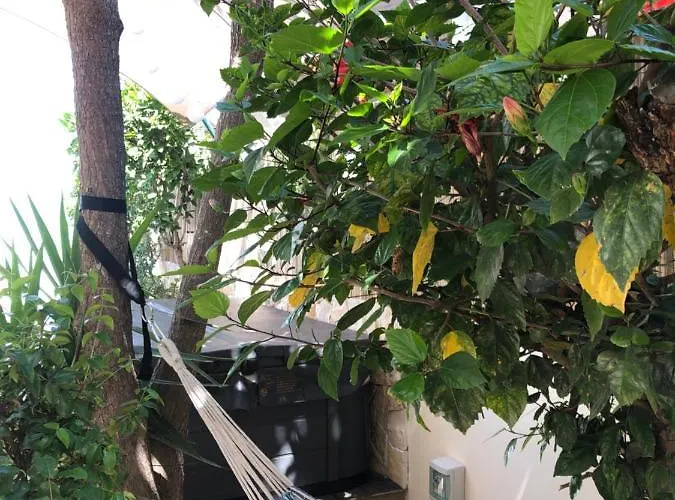 Luisa Anabela Piscine Et Jacuzzi 빌라