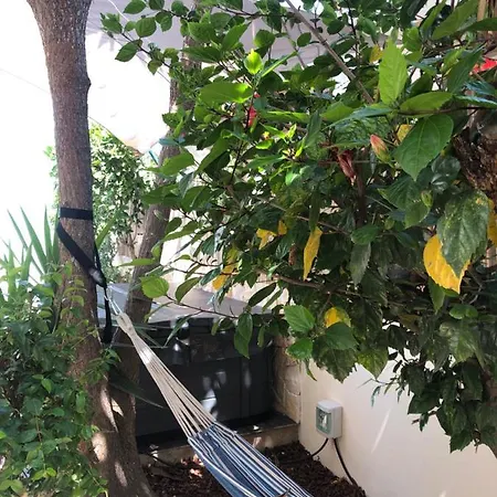 Luisa Anabela Piscine Et Jacuzzi Vila