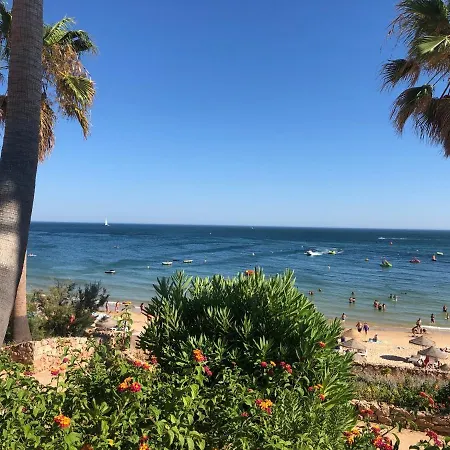 Vila Luisa Anabela Piscine Et Jacuzzi *